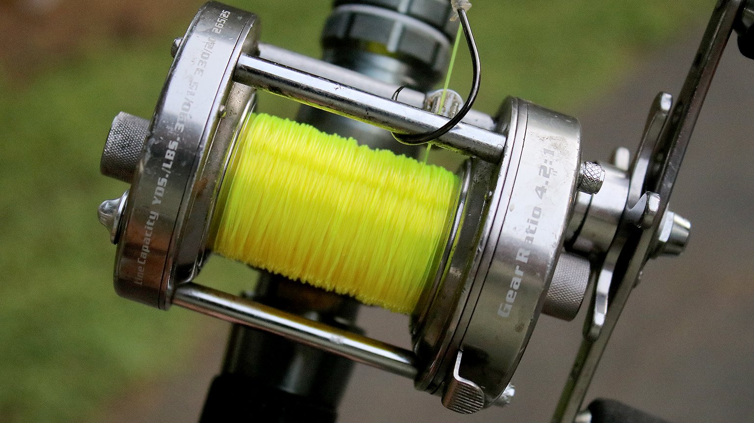 Is This the Best Catfish Reel for the Money?